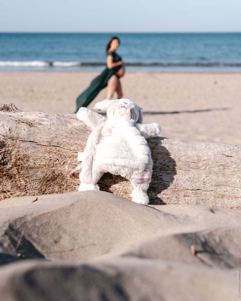 LPR00454