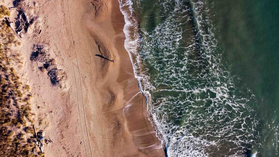 La plage de la Tamarissière