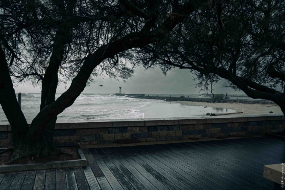 Veilleur des vagues – Grau d’Agde